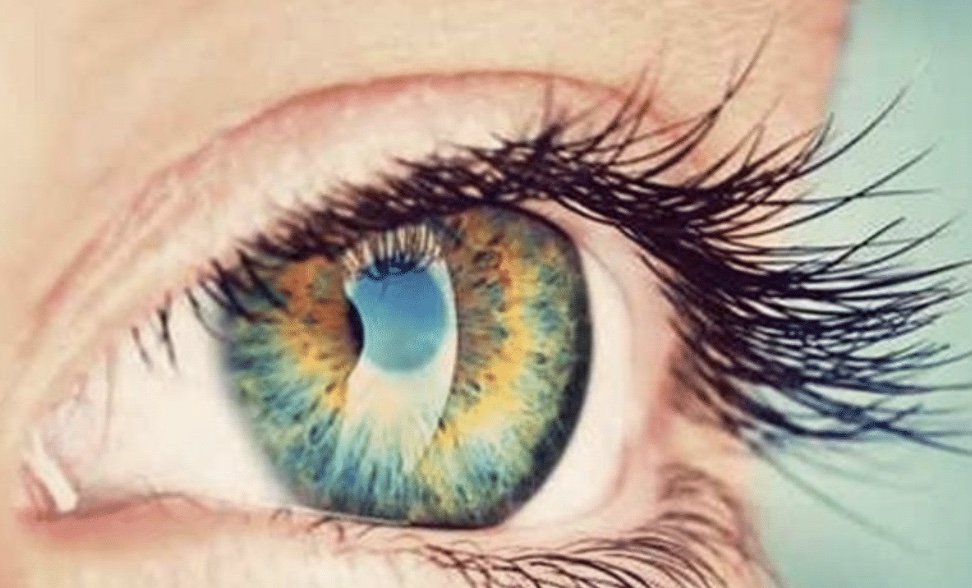 Syndromes secs&nbsp;- les femmes en première ligne